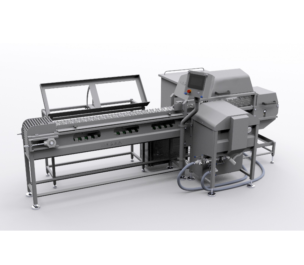 fish carcase injector